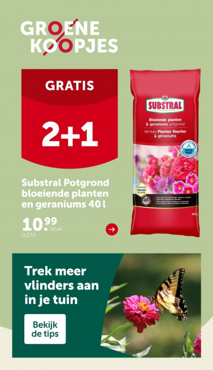 AVEVE Folder 14.05.2025