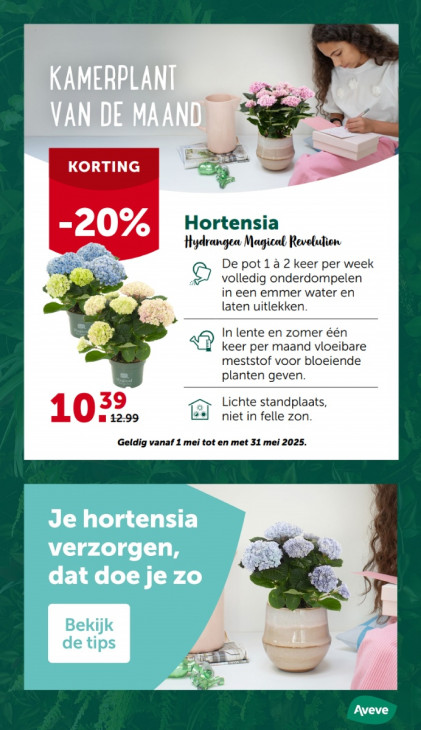 AVEVE Folder 14.05.2025