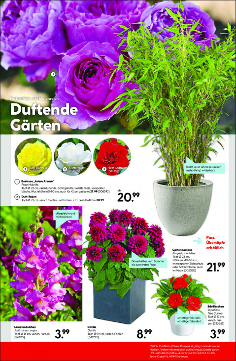Hellweg Baumarkt - woche-23-ab-02-06-2025-bis-07-06-2025-seite-11-gdobq