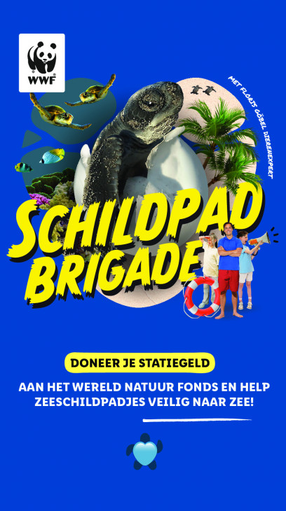 Lidl Folder 16.06.2025
