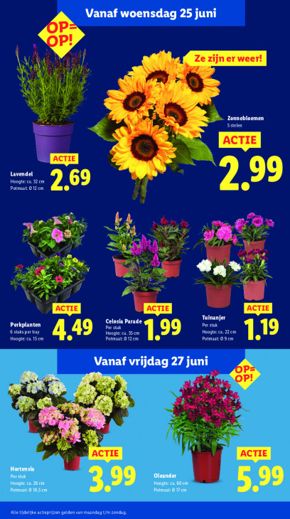 Lidl Folder 23.06.2025