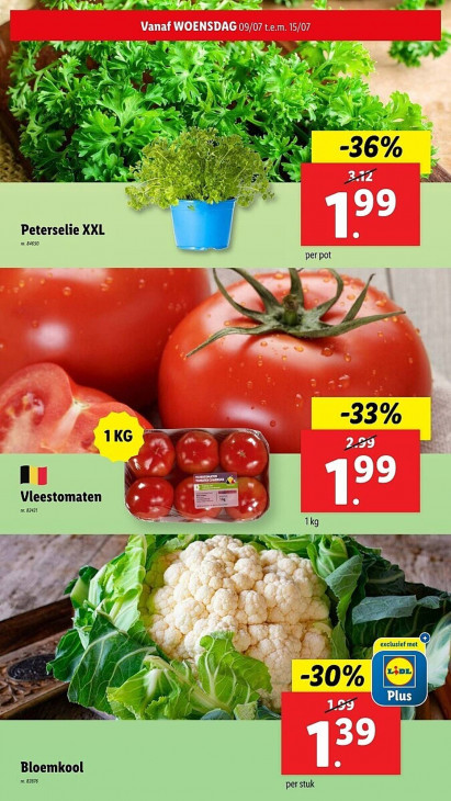 Lidl Folder 09.07.2025