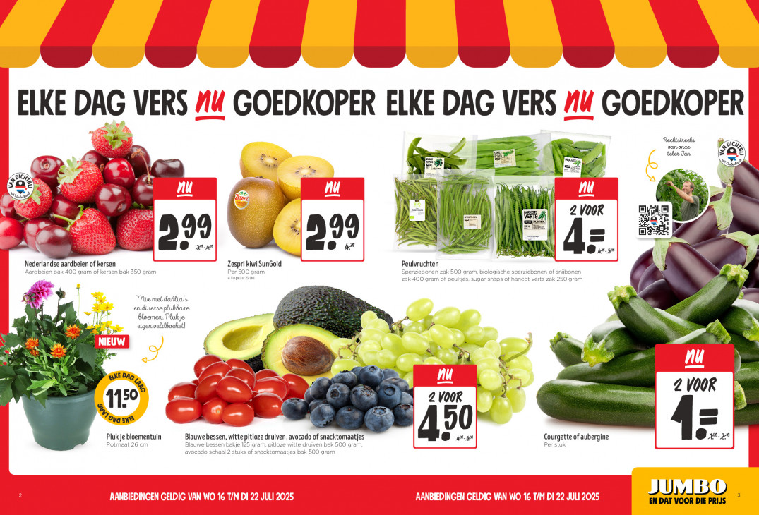 Jumbo Folder 16.07.2025