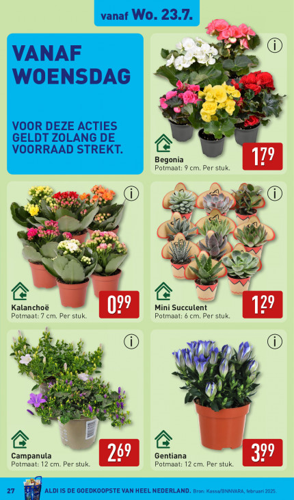 Aldi Folder 21.07.2025