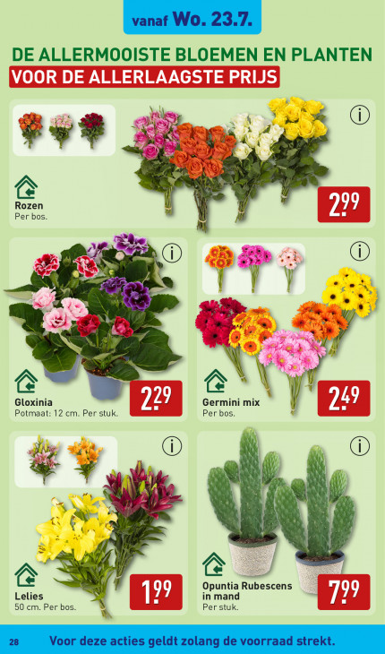 Aldi Folder 21.07.2025
