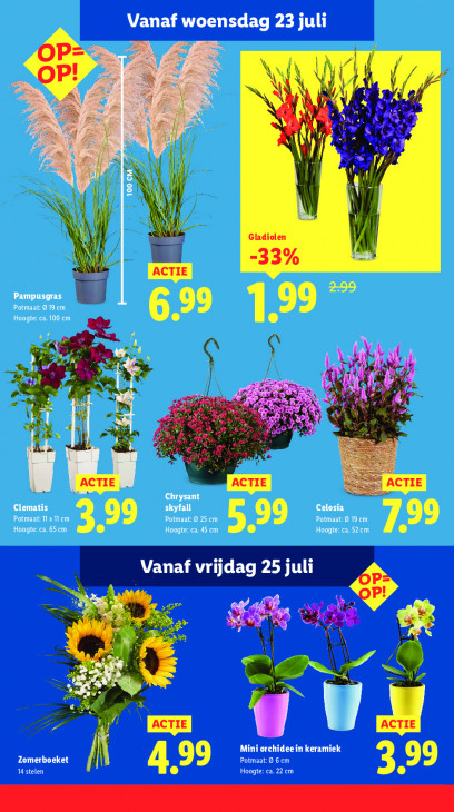 Lidl Folder 21.07.2025