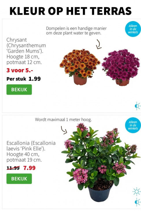 Intratuin Folder 21.07.2025