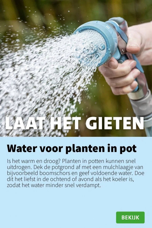 Intratuin Folder 21.07.2025