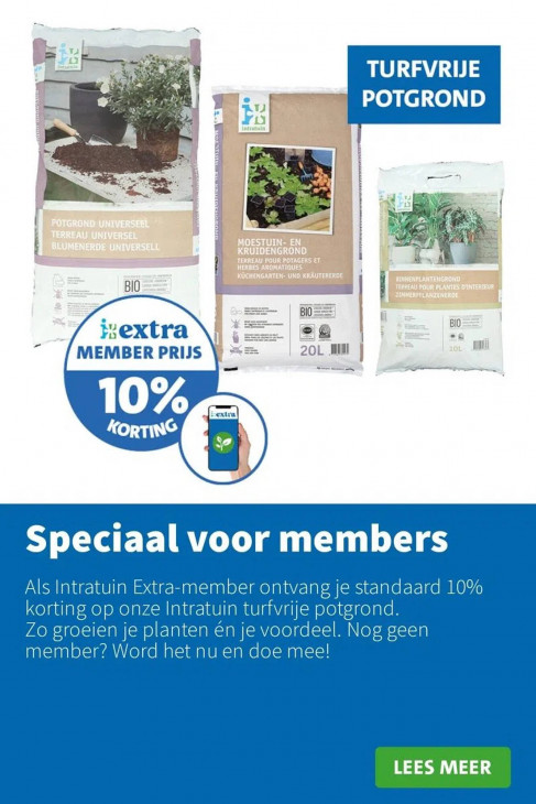 Intratuin Folder 21.07.2025