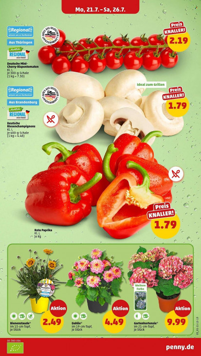 Penny Angebote ab 21.07.25 bis 26.07.25