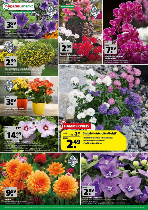 Hagebaumarkt Angebote ab 19.07.25 bis 26.07.25