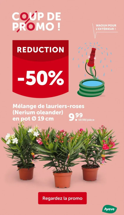 AVEVE Dépliant 23.07.2025