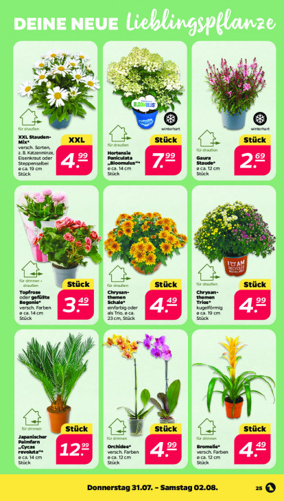 Netto Angebote ab 28.07.25 bis 02.08.25