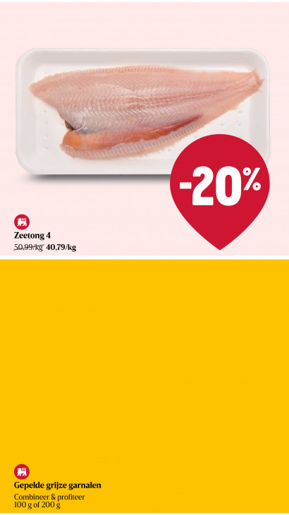 Delhaize Folder 24.07.2025