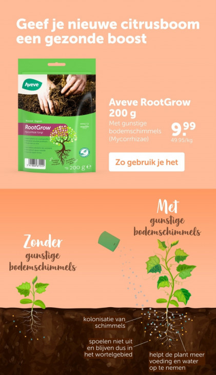 AVEVE Folder 23.07.2025