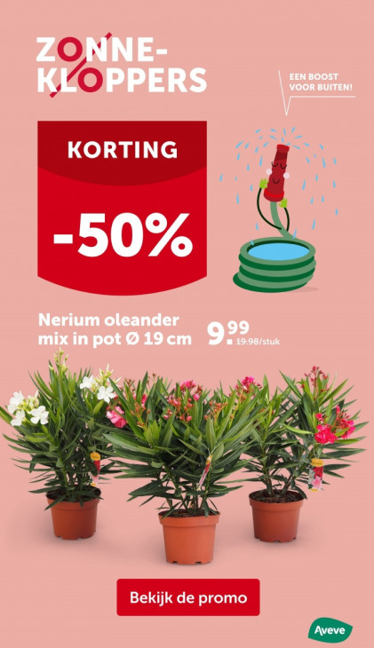 AVEVE Folder 23.07.2025
