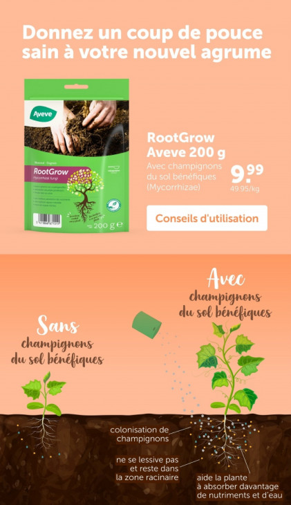 AVEVE Dépliant 23.07.2025