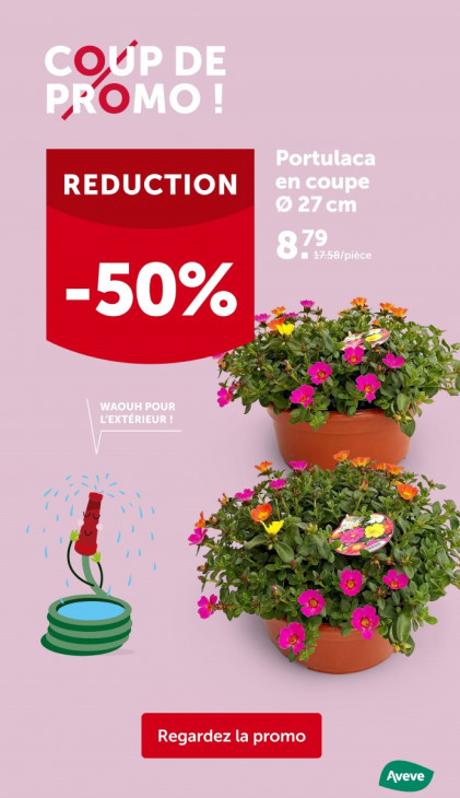 AVEVE Dépliant 23.07.2025