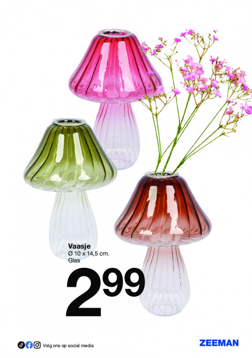 Zeeman Folder 26.07.2025