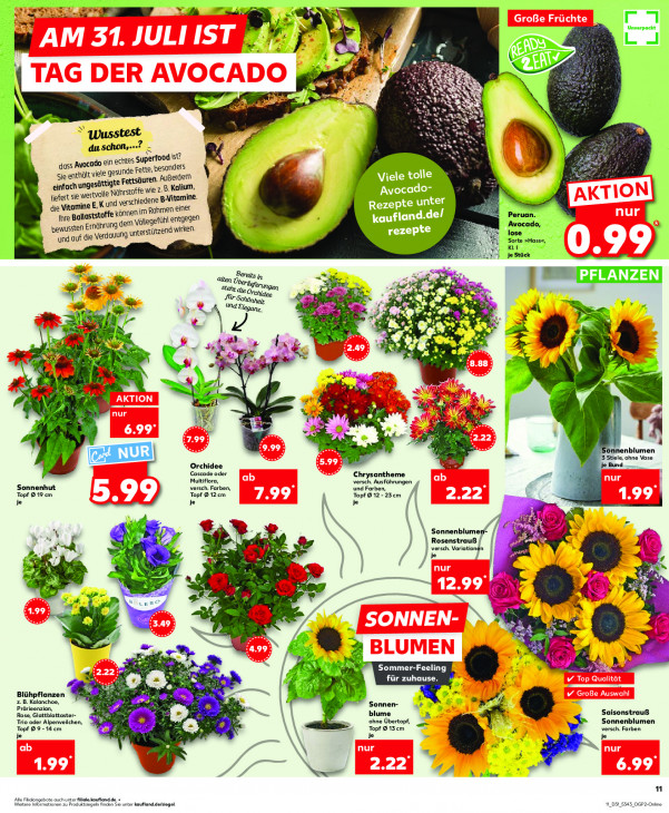 Kaufland - woche-31-ab-31-07-2025-bis-06-08-2025-seite-11-rznpn