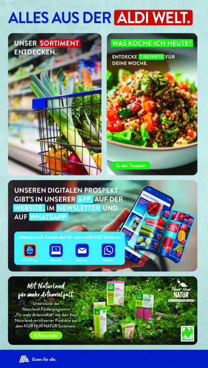 Aldi Süd - woche-33-ab-11-08-2025-bis-16-08-2025-seite-33-vvdkl