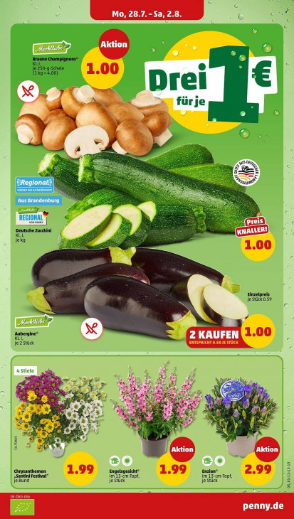Penny Angebote ab 28.07.25 bis 02.08.25