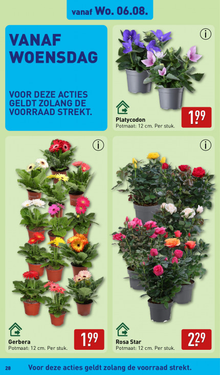 Aldi Folder 04.08.2025
