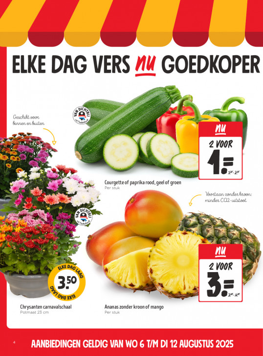 Jumbo Folder 06.08.2025