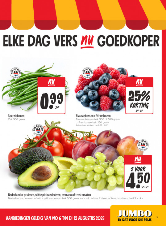 Jumbo Folder 06.08.2025