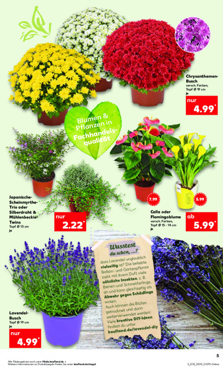 Kaufland - woche-32-ab-07-08-2025-bis-13-08-2025-seite-5-devay