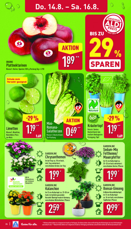 Aldi Nord Angebote ab 11.08.25 bis 16.08.25