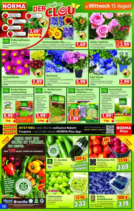 Norma Angebote ab 11.08.25 bis 16.08.25