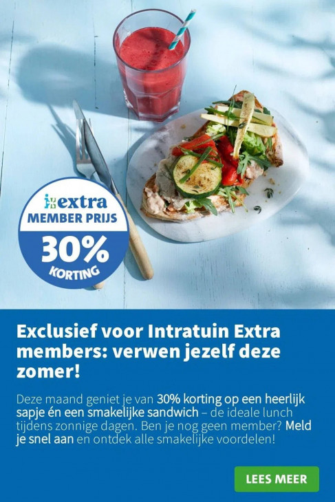 Intratuin Folder 04.08.2025