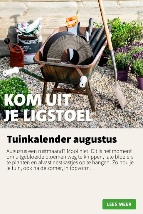 Intratuin Folder 04.08.2025