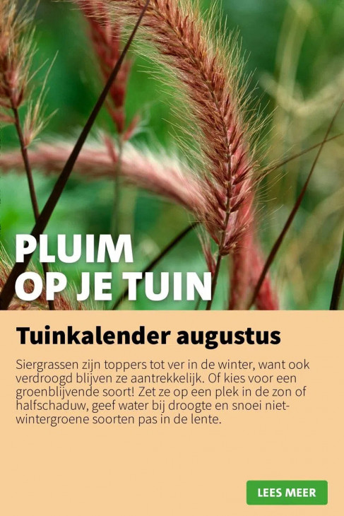 Intratuin Folder 04.08.2025
