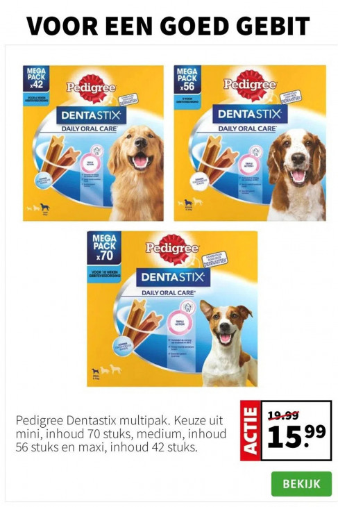 Intratuin Folder 04.08.2025