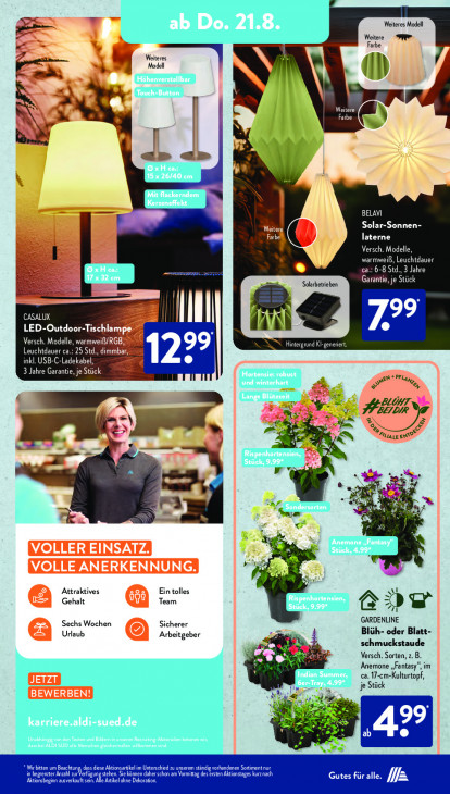 Aldi Süd - woche-34-ab-18-08-2025-bis-23-08-2025-seite-13-lznen