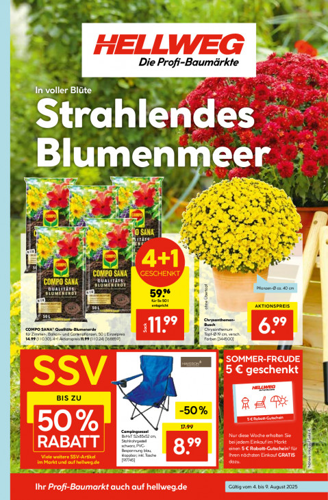 Hellweg Baumarkt Angebote ab 04.08.25 bis 09.08.25