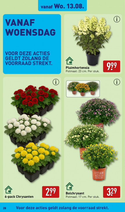 Aldi Folder 11.08.2025