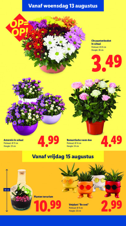 Lidl Folder 11.08.2025