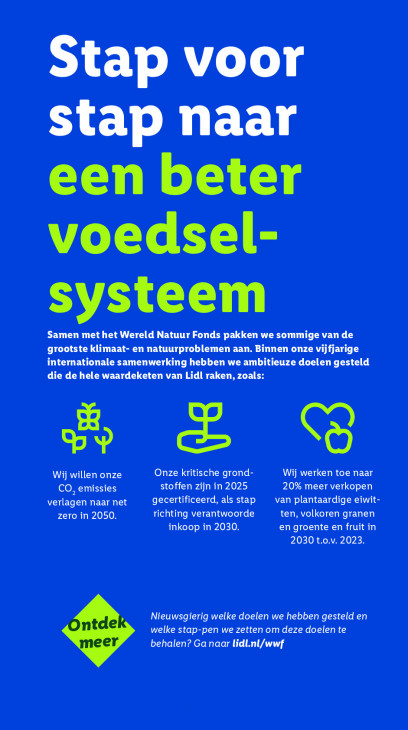 Lidl Folder 11.08.2025