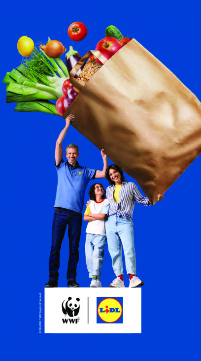 Lidl Folder 11.08.2025