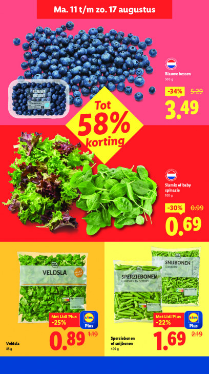 Lidl Folder 11.08.2025