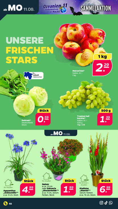 Netto Angebote ab 11.08.25 bis 16.08.25