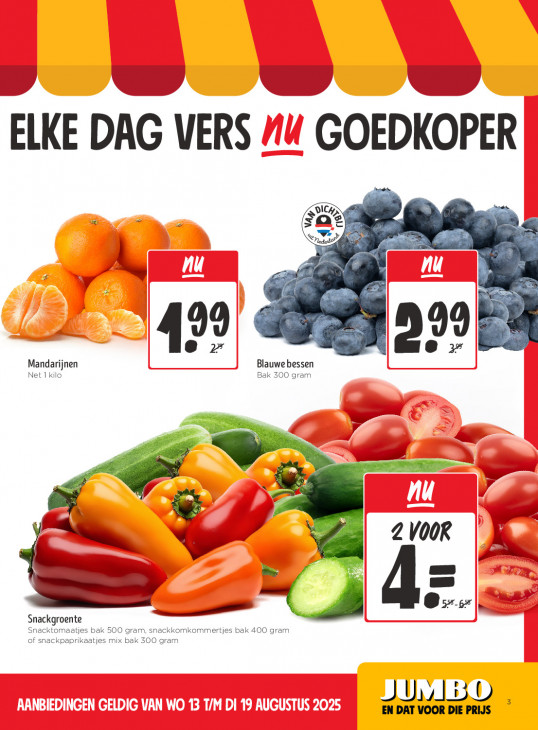 Jumbo Folder 13.08.2025