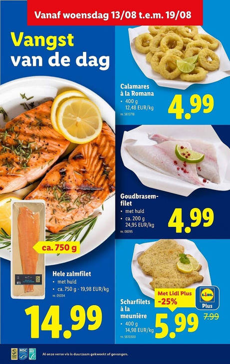 Lidl Folder 13.08.2025