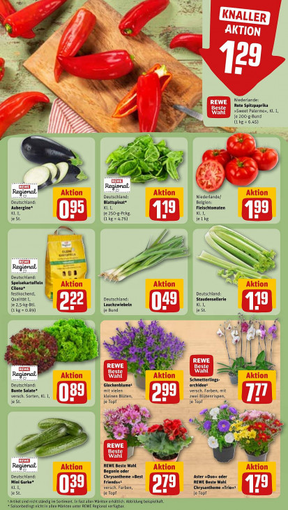 Rewe Angebote ab 11.08.25 bis 16.08.25