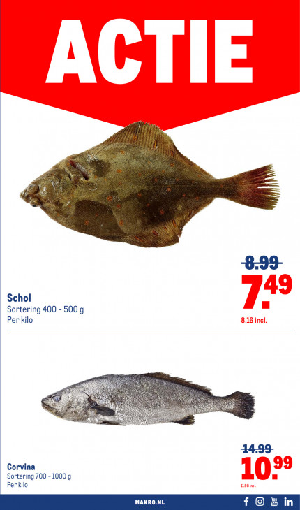 Makro Folder 13.08.2025