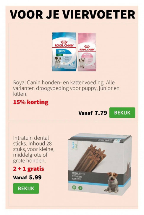 Intratuin Folder 11.08.2025