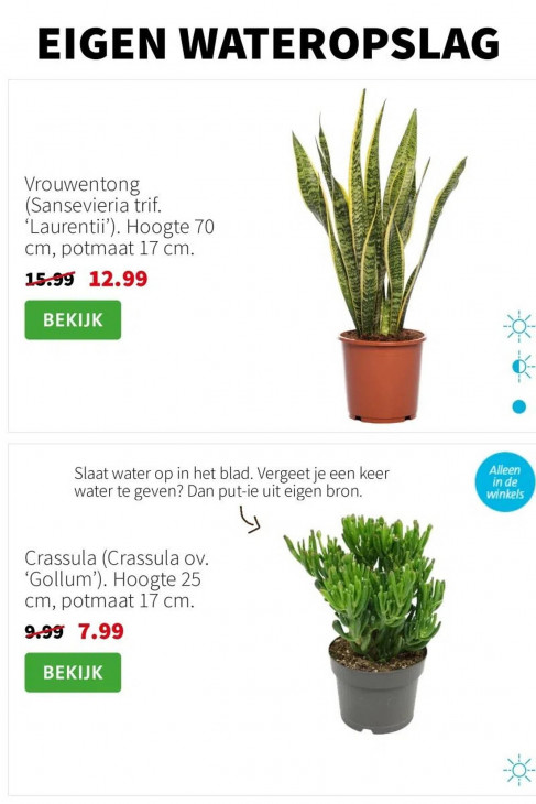 Intratuin Folder 11.08.2025